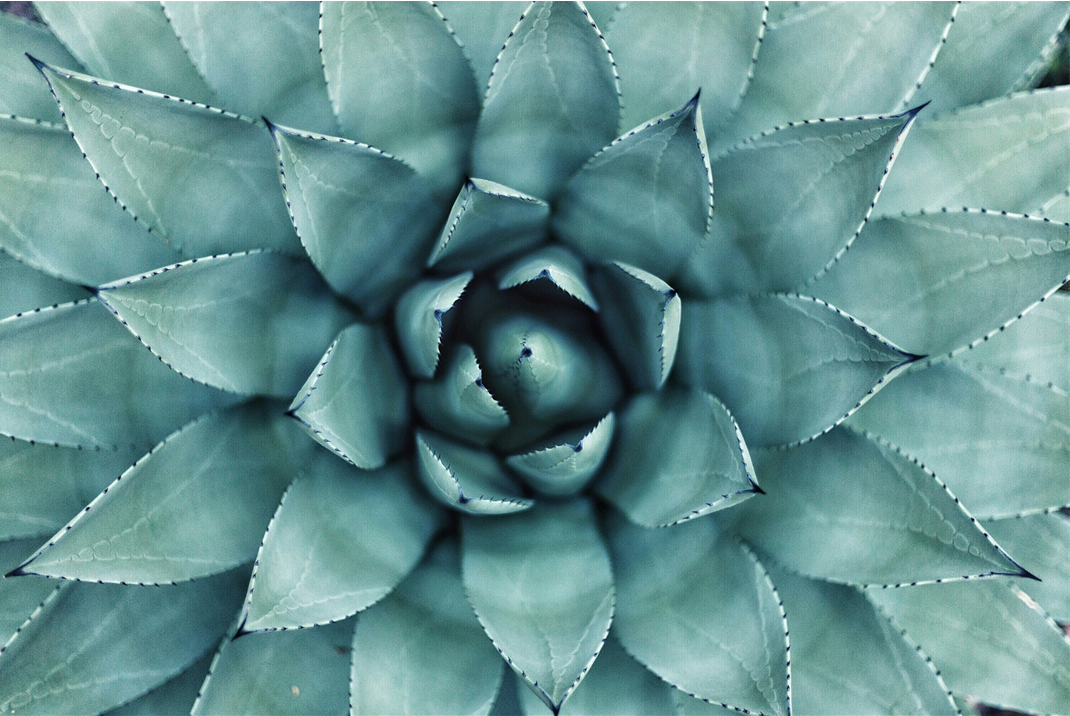 Header image for Revolutionizing ESG Due Diligence: A User-Centric Overview of a GenAI-Powered Sustainability Assessment Tool